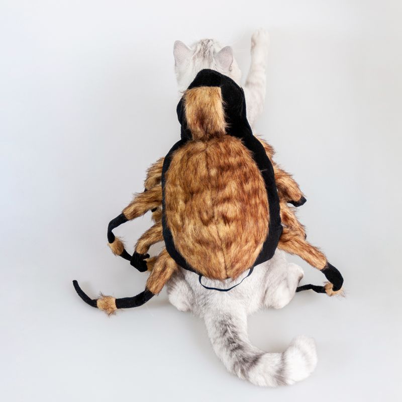 Pet Spiders Change Costumes — product detail