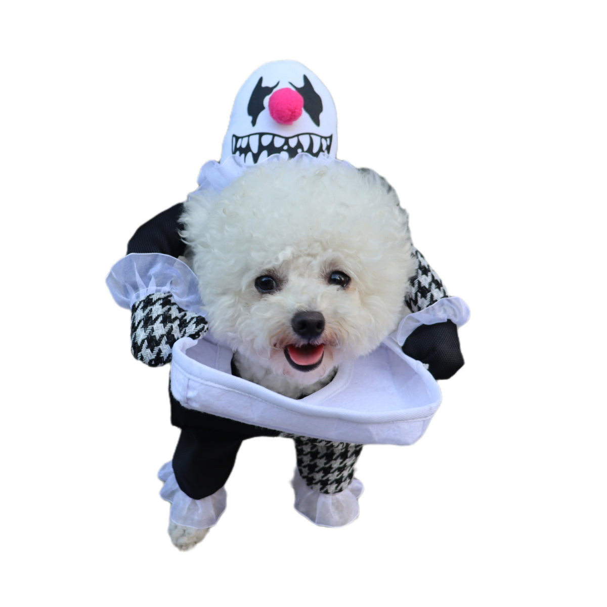 Pet Halloween Costume Photo Props Demon Transformation — product detail