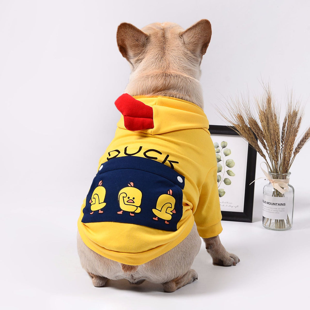 Pet dog clothes — product detail