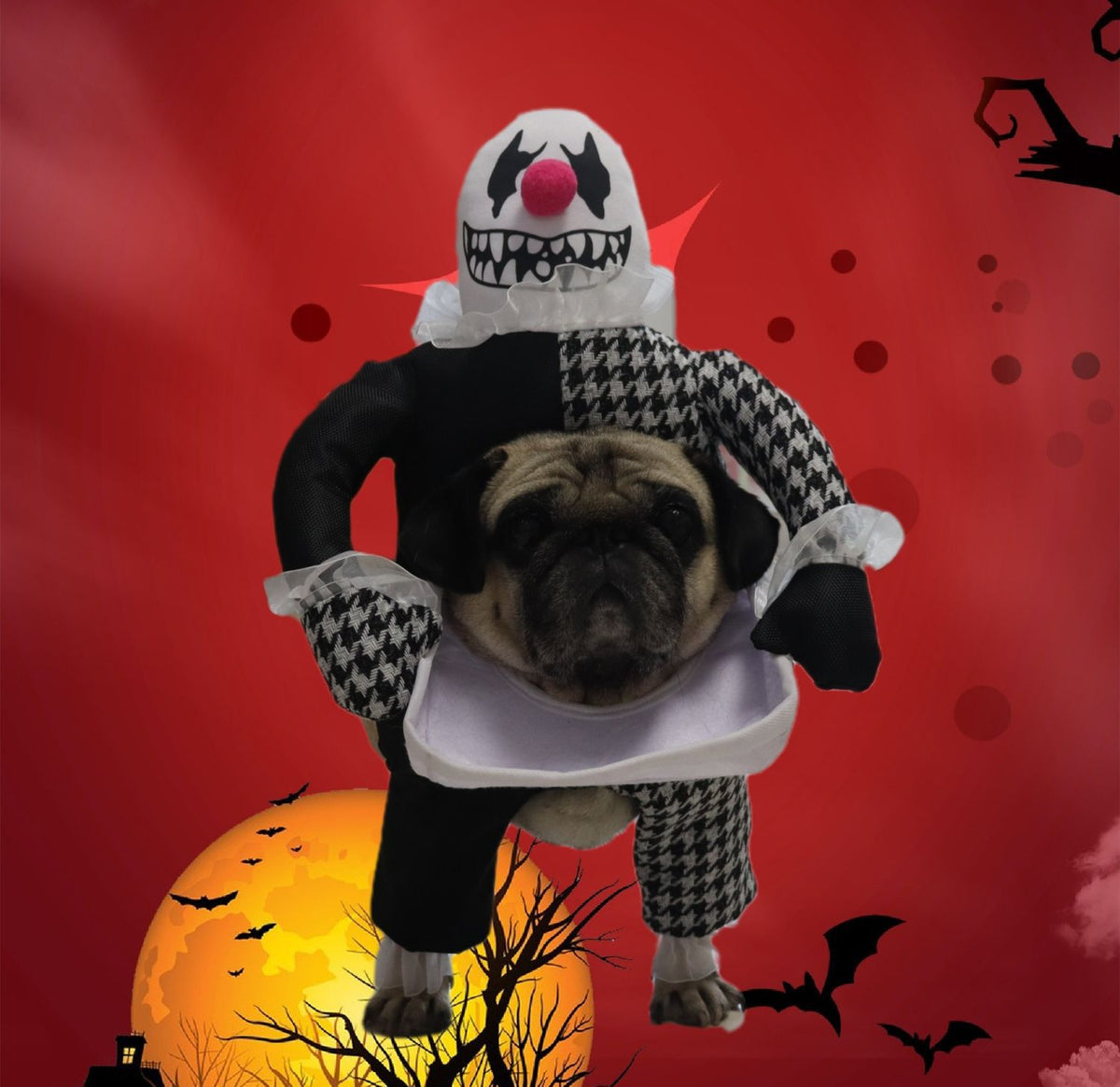 Pet Halloween Costume Photo Props Demon Transformation — product detail