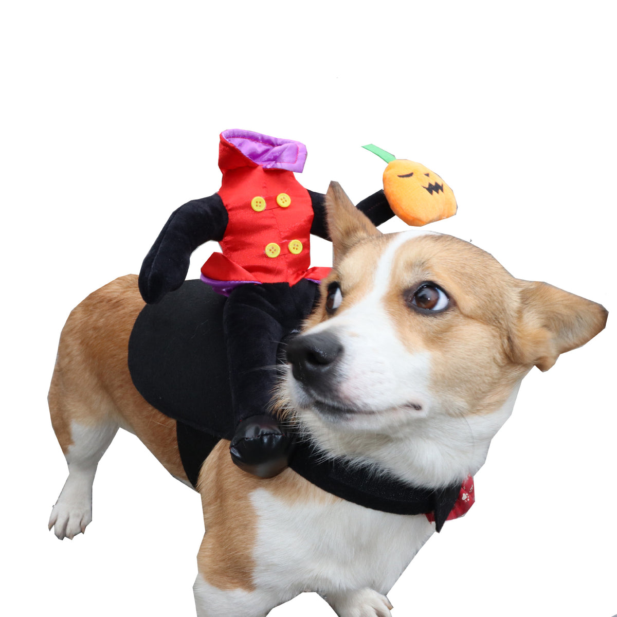 Halloween Dog Clothes Pet Costume Funny — product detail