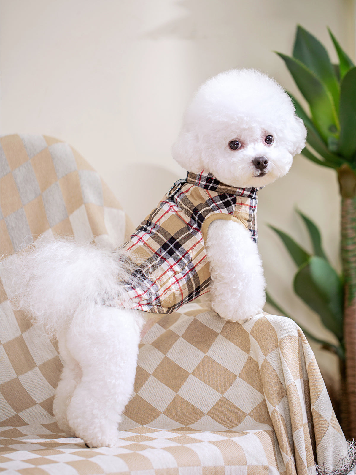 Plaid Zippered Dog Vest — product detail