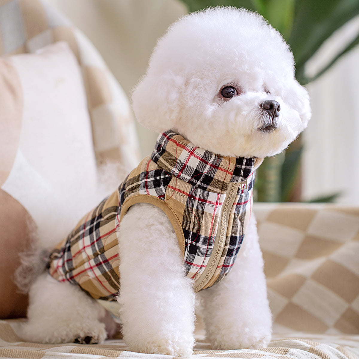 Plaid Zippered Dog Vest — product detail