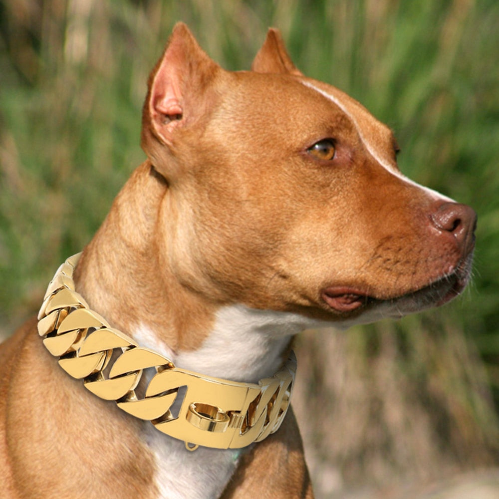 Stainless steel dog chain — product detail