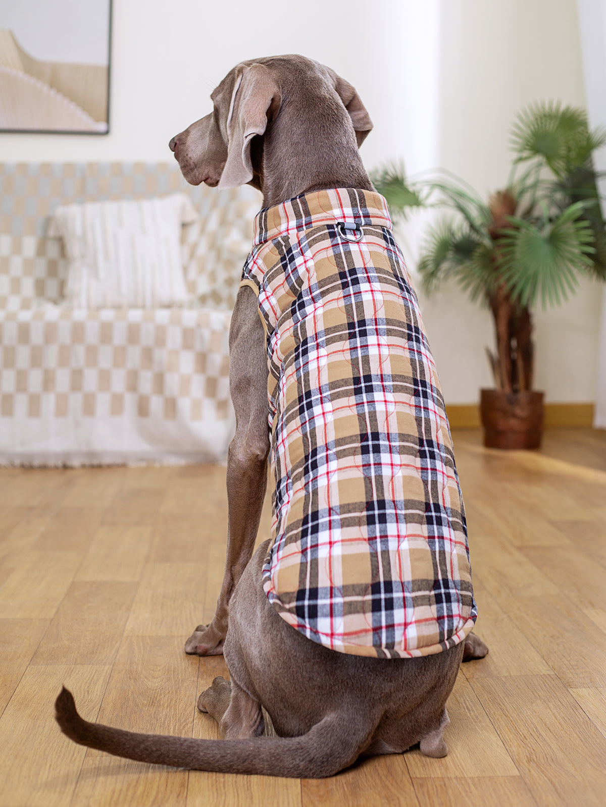 Plaid Zippered Dog Vest — product detail