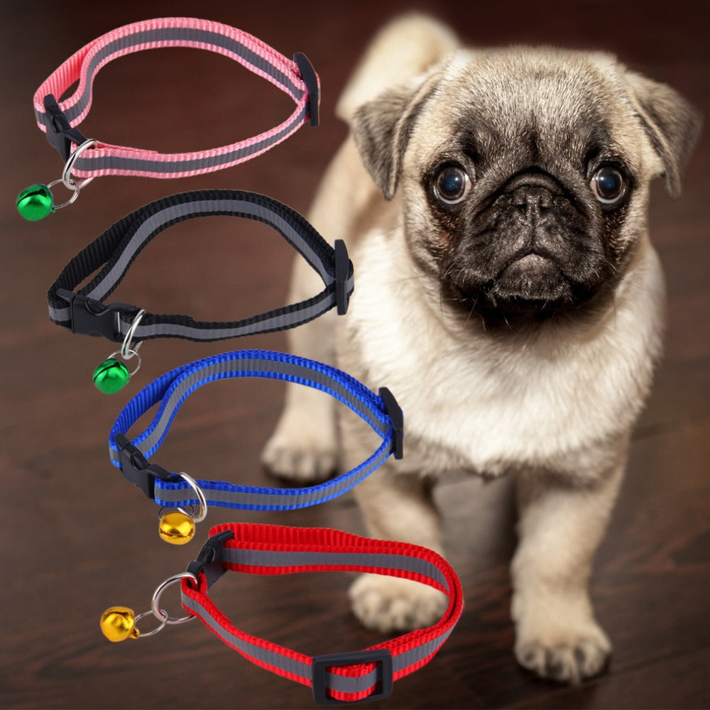 Fluorescent dog collar — product detail