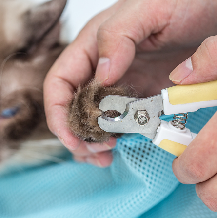 Adjustable Mesh Cat Grooming Bag — product detail
