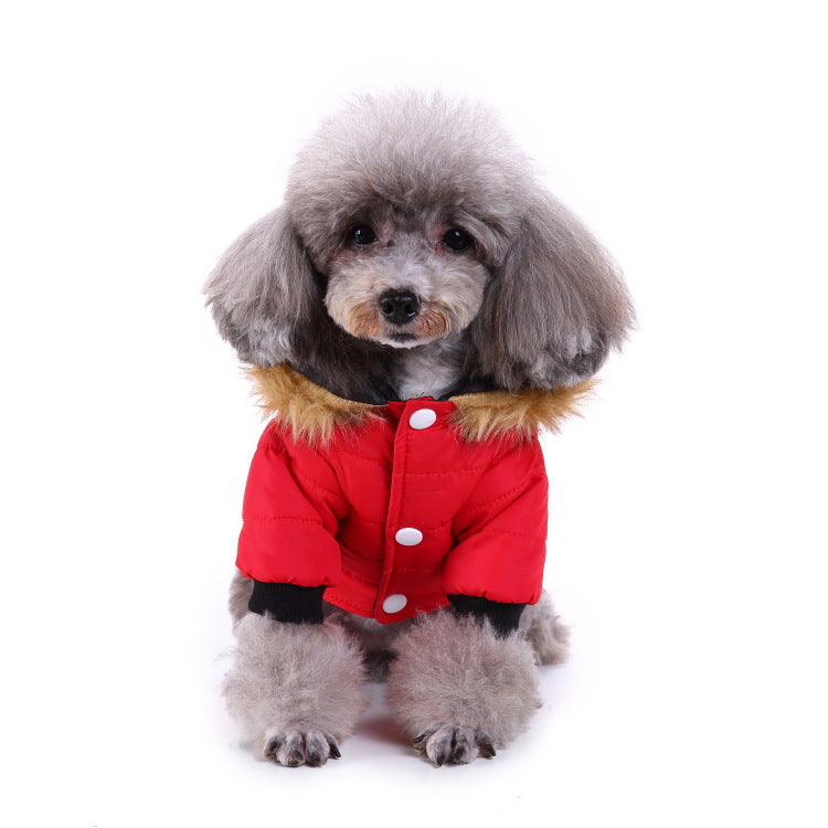 Winter clothing for pets — product detail