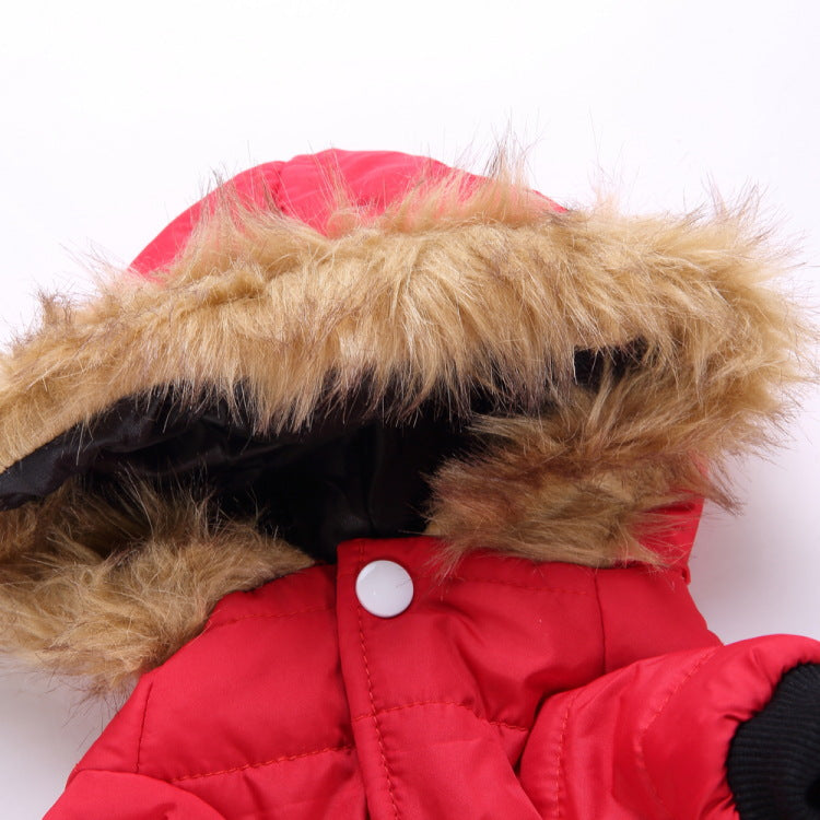Winter clothing for pets — product detail