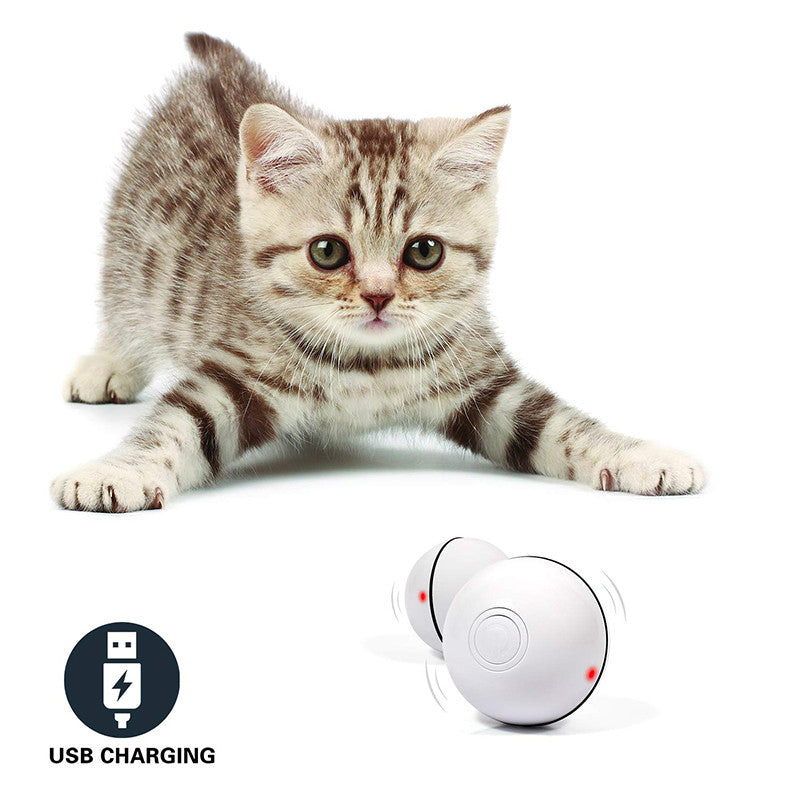 LED Laser Electronic Rolling Pet Funny Cat Toy Ball — product detail