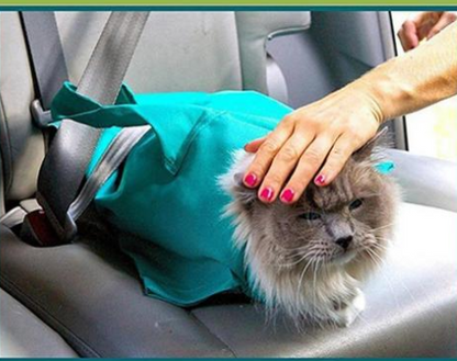 Pet Cat Breathable Outdoor Travel Shoulder Bag Sling Carrier For Puppy — product detail