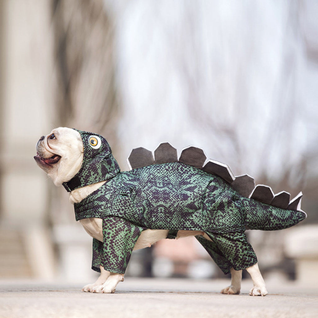 Pet dinosaur clothes — product detail
