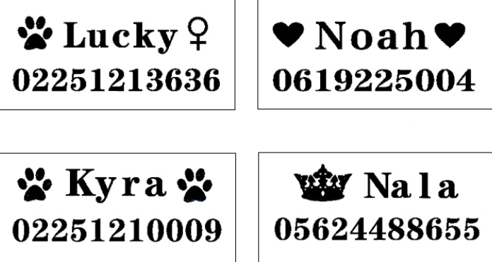 Custom dog collar — product detail