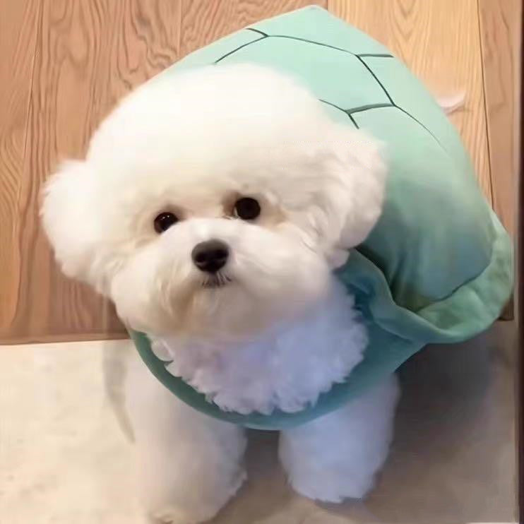 Turtle Shell Pet Vest Funny Clothes — product detail