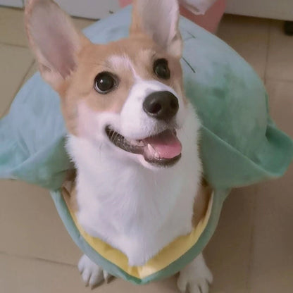Turtle Shell Pet Vest Funny Clothes — product detail
