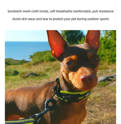 Anti Strangulation Medium Teddy Pet Products — product detail