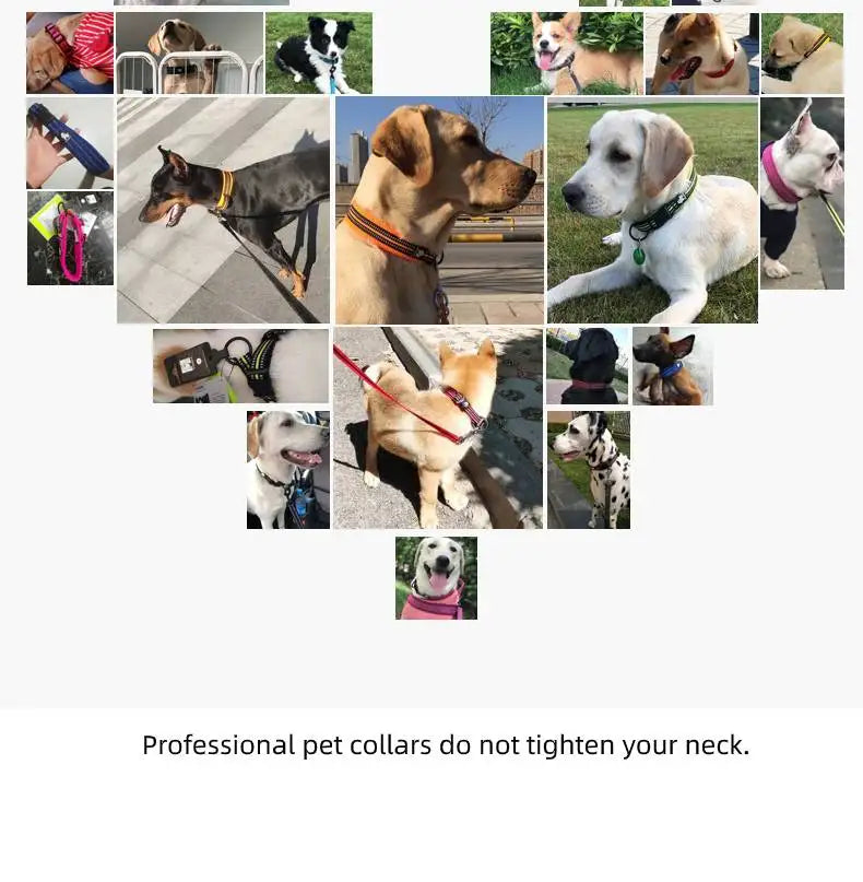 Anti Strangulation Medium Teddy Pet Products — product detail