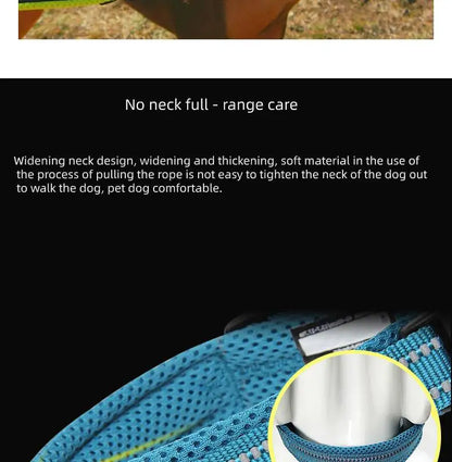 Anti Strangulation Medium Teddy Pet Products — product detail