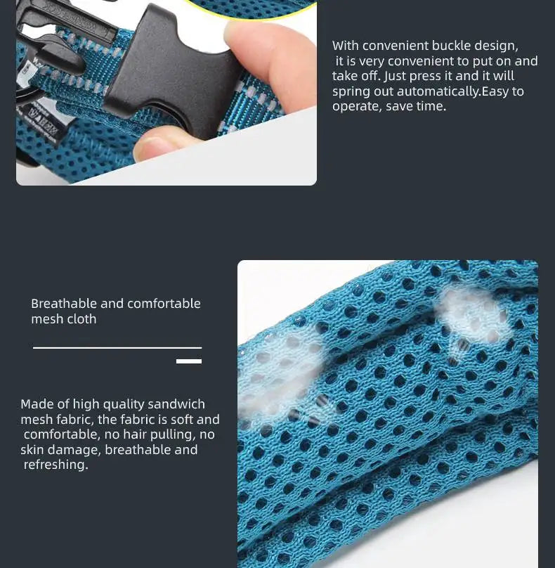 Anti Strangulation Medium Teddy Pet Products — product detail