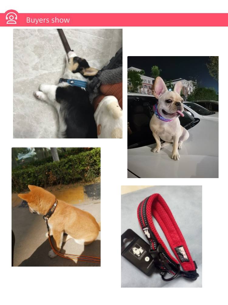 Anti Strangulation Medium Teddy Pet Products — product detail