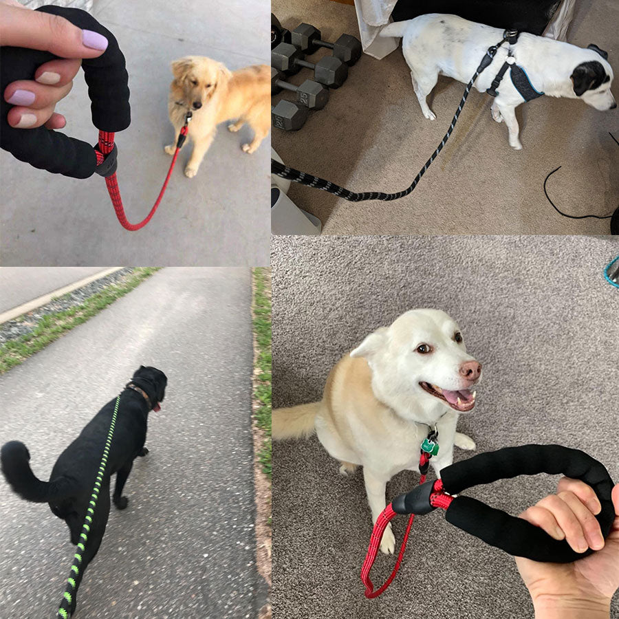 Small Medium Sized Pet Dog Luminous Leash Chain Puppies — product detail