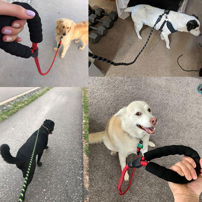 Small Medium Sized Pet Dog Luminous Leash Chain Puppies — product detail